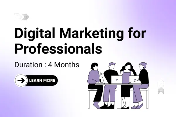 Digital Marketing for Professionals CourseVisual